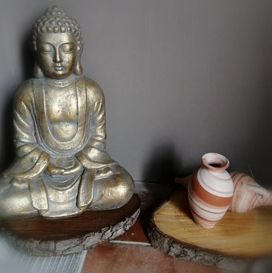 לינה וארוחת בוקר Ferolles Jacuzzi Massage Sur Rdv,Duo,Reiki,Californien, Reflexologie Plantaire, Et Bouteille Mousseux Offerte מראה חיצוני תמונה