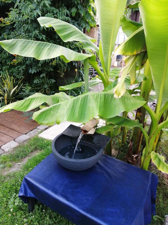 לינה וארוחת בוקר Ferolles Jacuzzi Massage Sur Rdv,Duo,Reiki,Californien, Reflexologie Plantaire, Et Bouteille Mousseux Offerte מראה חיצוני תמונה